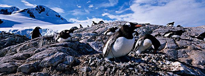 由于版权归属问题 《仙剑奇侠传》开发商LOGO变更